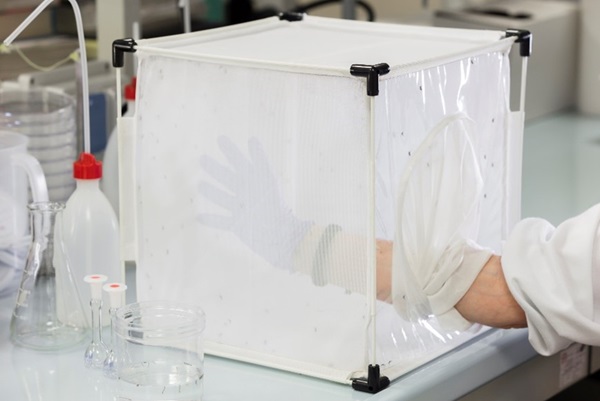 Test des produits antimoustiques